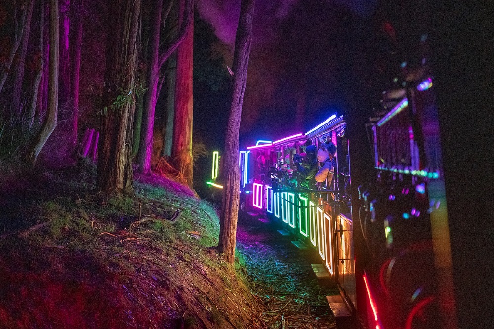 Train of Lights Puffing Billy