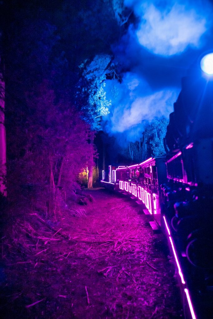 Train of Lights Puffing Billy2